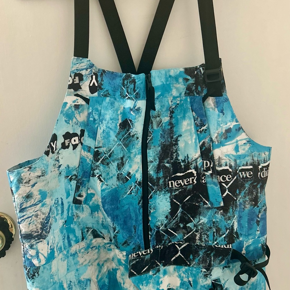 The North Face Ski Bibs-brand new!